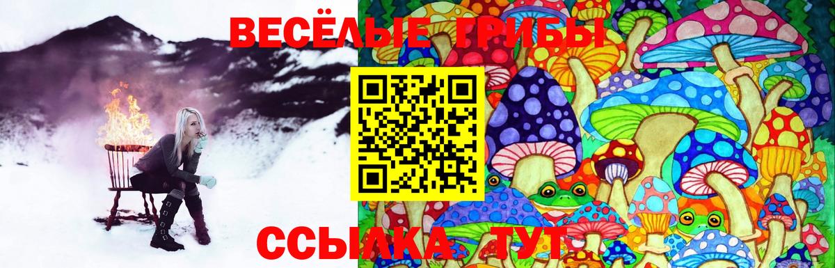 закладки  Псилоцибиновые грибы Psilocybe  Краснокаменск  Вход с VPN  Псилоцибиновые грибы MAGIC MUSHROOMS 