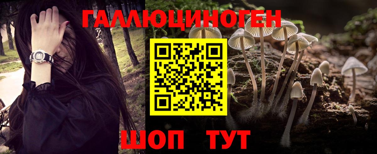 Галлюциногенные грибы Psilocybine cubensis Краснокаменск